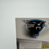 DeAngelo Williams 2009 Playoff Prestige Touchdown Sensations Prime /50