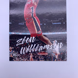 Zion Williamson 2019-20 Luminance RC Bundle